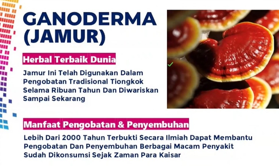 Ganoderma Lingzhi Kopi Juwara Cafe