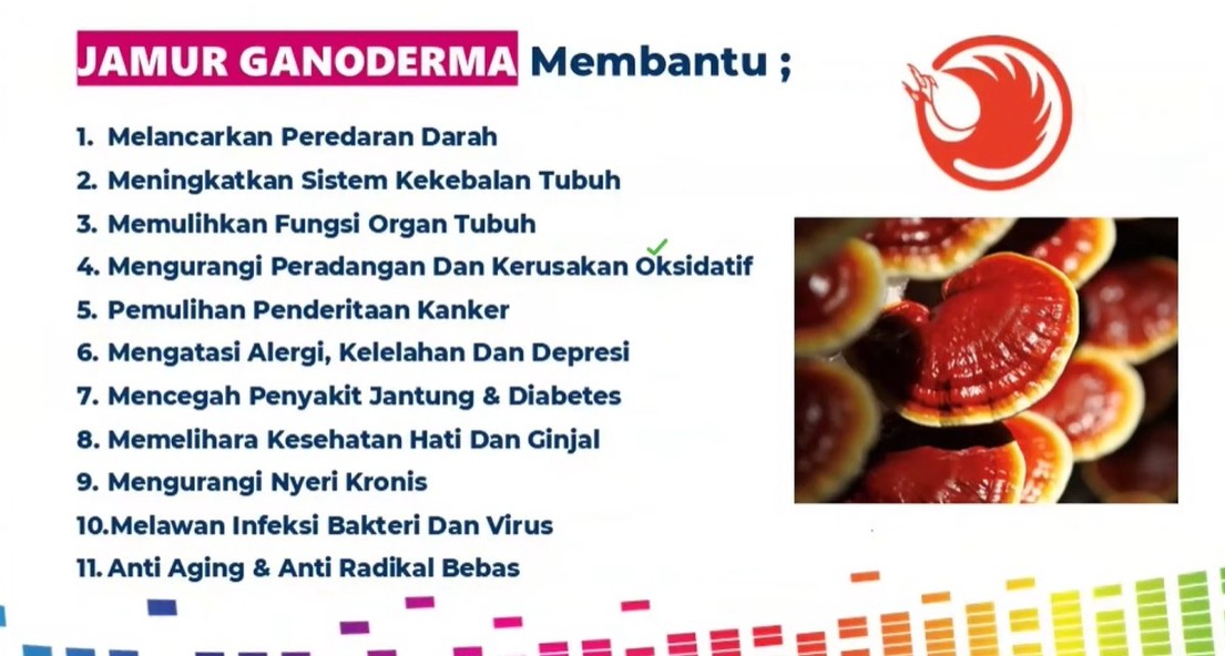 Manfaat Ganoderma Lingzhi Kopi Juwara Cafe